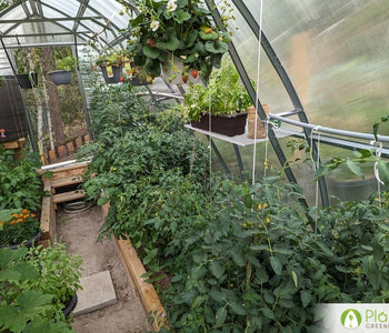 Un hogar para las verduras que aman el calor
