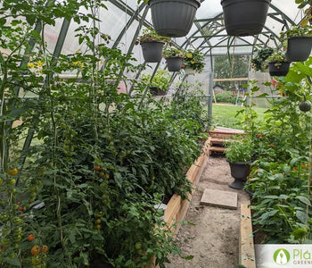 Un hogar para las verduras que aman el calor