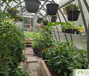 Un hogar para las verduras que aman el calor