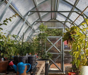 Great for plants that need winter rest