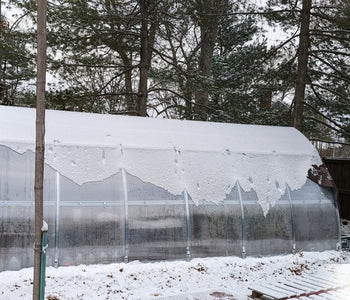 Great for plants that need winter rest