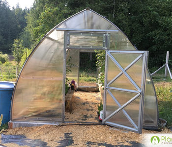 I love spending time in the Sungrow Greenhouse