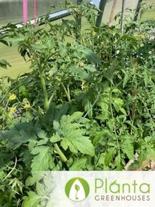 I grow things I didn’t think were possible