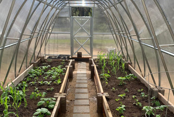 How to Improve Greenhouse Soil: Advanced Techniques for Gardeners