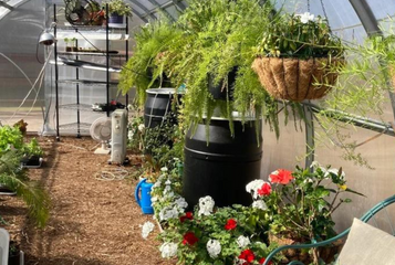 The Ultimate Guide to Incorporating Thermal Mass in Your Greenhouse