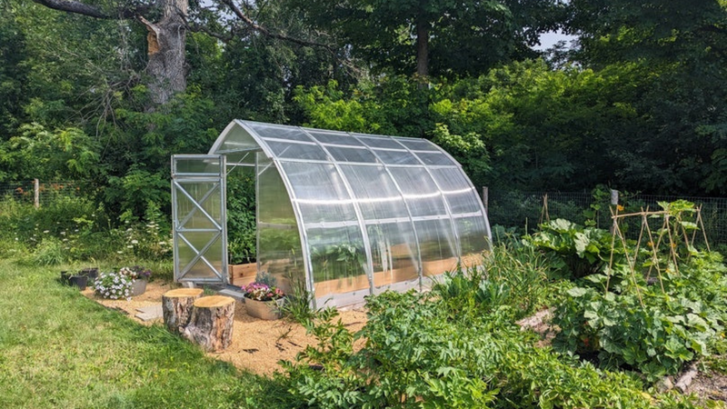 Greenhouse Buyer's Guide: 9 Essential Considerations Before Your Big Purchase