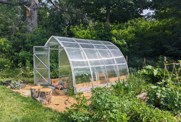 Greenhouse Buyer's Guide: 9 Essential Considerations Before Your Big Purchase