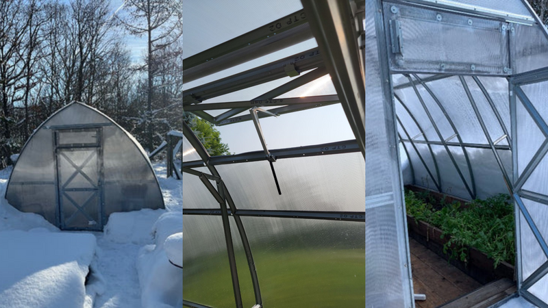 The Essential Greenhouse Sealing Guide: Tips for a Leak-Free Garden