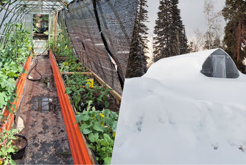 How to Manage Extreme Temperature Swings in Your Greenhouse