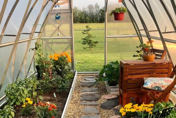 8 Tips to Transform Your Greenhouse into a Personal Oasis