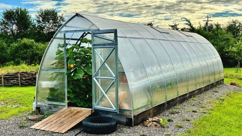 Comparing Backyard Greenhouses: Why Gardeners Choose Planta
