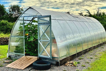 Comparing Backyard Greenhouses: Why Gardeners Choose Planta