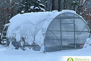 My greenhouse has added a new element of enjoyment to my life