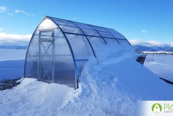 How to Insulate Your Greenhouse for a Thriving Winter Garden