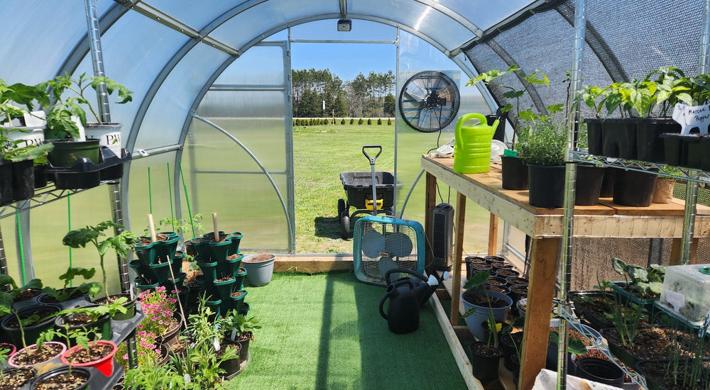 Extending the Growing Season with the Sigma Urban Greenhouse