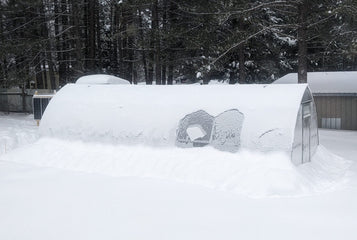 How to Heat Your Greenhouse Without Electricity: A Passive Heating Guide