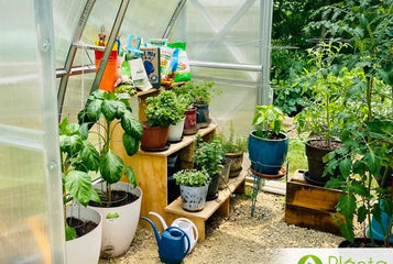 Diverse Growing: 6 Innovative Greenhouse Gardening Methods