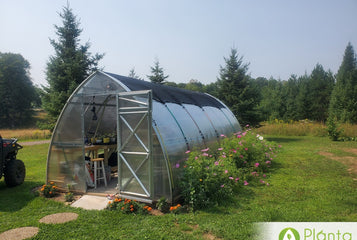 My husband bought me the greenhouse for a Christmas gift!