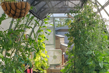 Gardener Scott Recommended The Planta Greenhouse