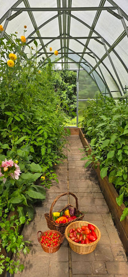 From a 100-Day Season to Months of Abundant Harvests