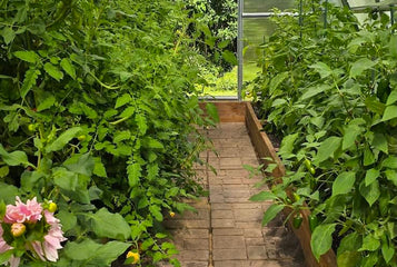 From a 100-Day Season to Months of Abundant Harvests