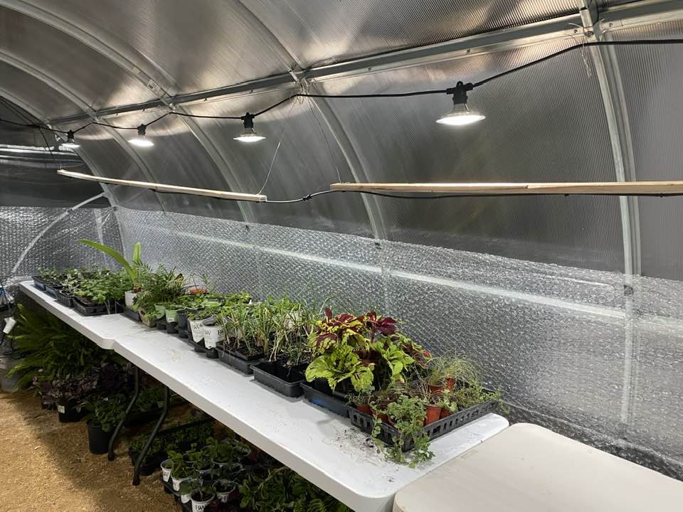 Winter-Proof Your Greenhouse: The Essential Guide to Insulating With B