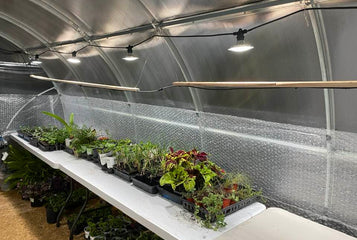 Winter-Proof Your Greenhouse: The Essential Guide to Insulating With Bubble Wrap