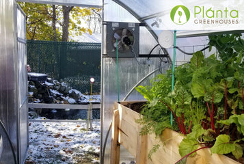 Do You Want to Harvest Tasty Vegetables All Winter Long?