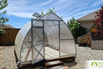 How to Clean a Greenhouse?