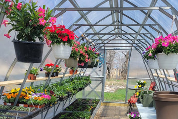 From Cluttered to Organized: Transform Your Greenhouse with Shelves for Better Plant Management
