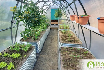 Elevate Your Gardening: 5 Advantages of Raised Beds in Greenhouses