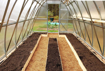 How to Prep Your Greenhouse for The Spring?