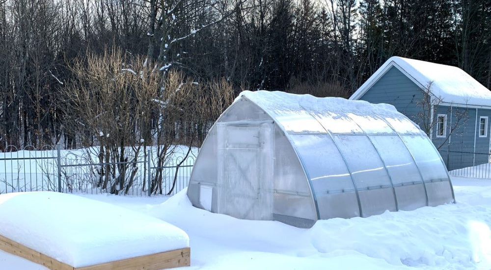 It will be so much simpler to grow vegetables that need warm conditions!