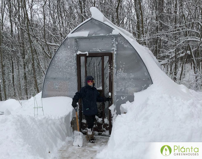 The greenhouse looked amazing with the snow on it