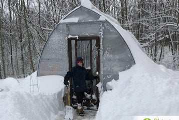 The greenhouse looked amazing with the snow on it