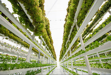 Comment l'agriculture hydroponique verticale peut maximiser le rendement de votre serre