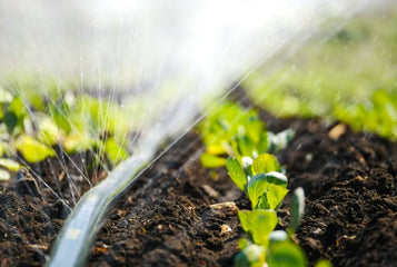 From Drip Irrigation to Mist Systems: Choosing the Right Watering System for Your Greenhouse