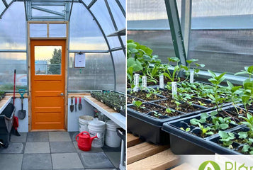 How to Build a Tile Base for Your Greenhouse (Step-by-Step Guide)