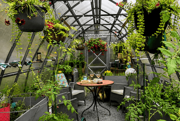 6 Creative Ways to Design a Seating Area Inside Your Greenhouse