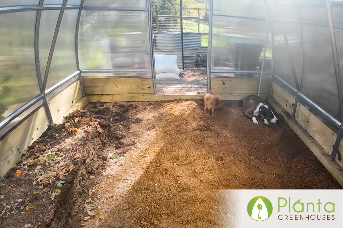 Transforming Greenhouse Experience