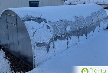 The stability of the greenhouse is really good even in the wind