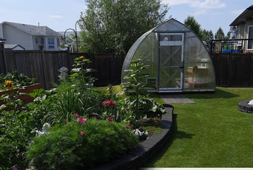 I really like this greenhouse...many of my visitors look at it and sure like it