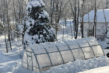 7 Methods to Keep Your Planta Greenhouse Heated in the Winter