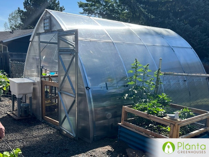 The best greenhouse to meet our high desert needs