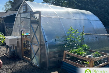 The best greenhouse to meet our high desert needs