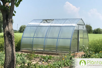 Greenhouse story from Pat in Ontario