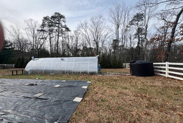 Turning Winter Into a Thriving Garden with the Sungrow 32