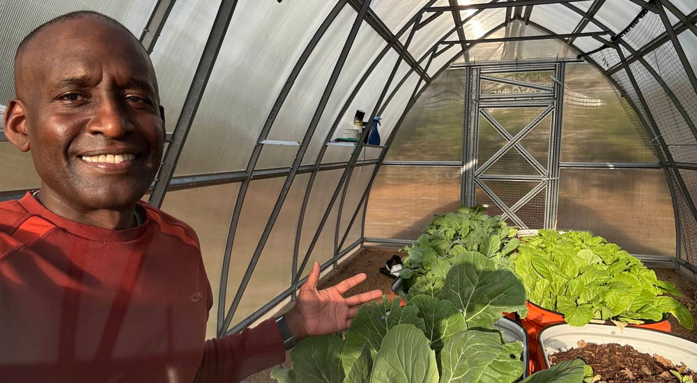 Year-Round Vegetable Gardening Without Deer or Frost Worries