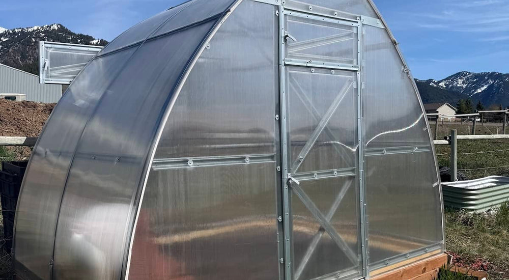 A Sun-Filled Backyard Retreat with the Sungrow Compact