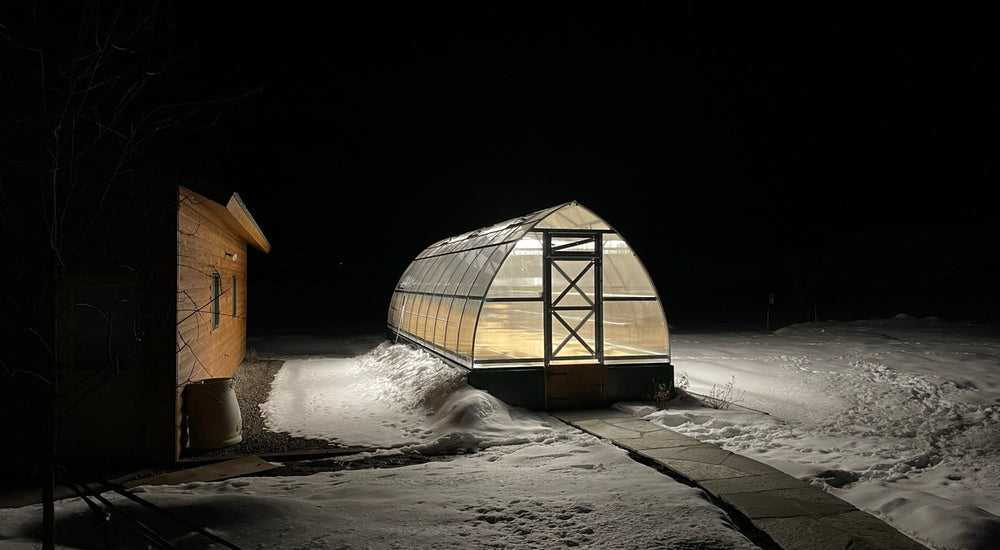 A Nurturing Environment for Growing Vegetables at 8,850 Feet